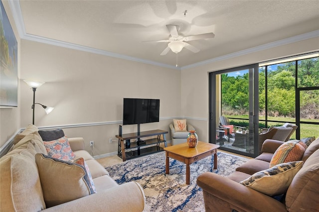 living room featuring ceiling fan and ornamental molding