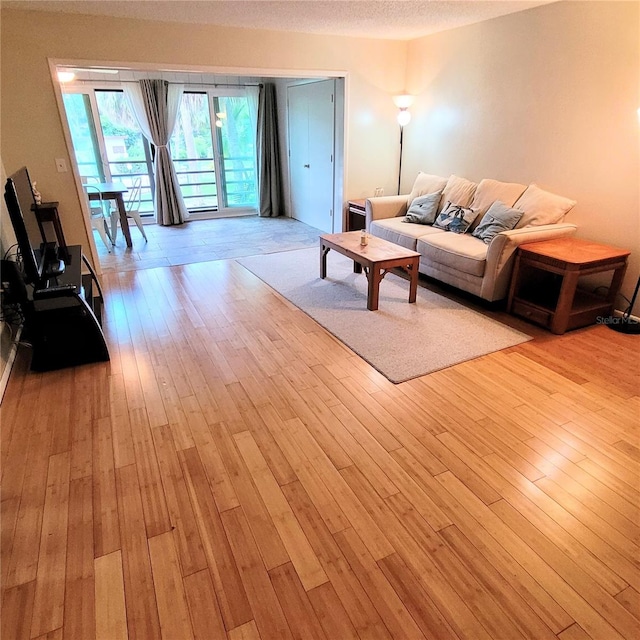 living room featuring light hardwood / wood-style flooring