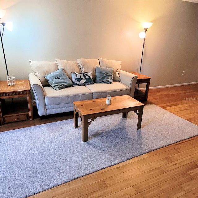 living room featuring wood-type flooring