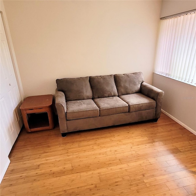 living room with light hardwood / wood-style floors