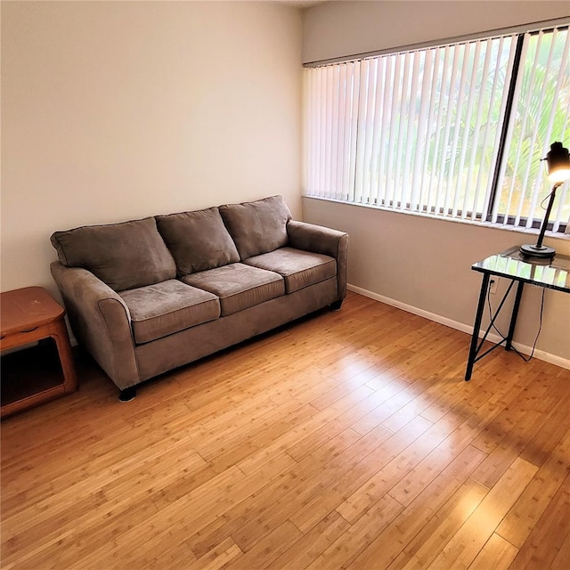 living room featuring light hardwood / wood-style flooring