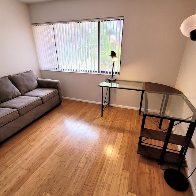 living room with light hardwood / wood-style floors