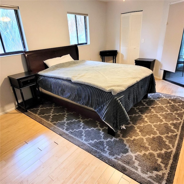 bedroom featuring wood-type flooring and a closet