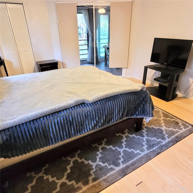 bedroom with a closet and hardwood / wood-style floors