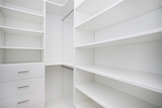 4111 Williams Rd, Estero, FL 33928 - view of spacious closet