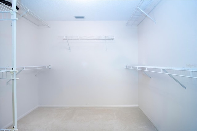 spacious closet featuring carpet floors