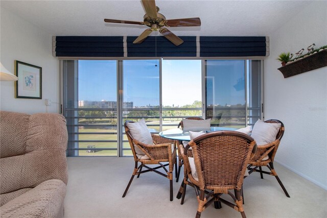 3780 Pinebrook Cir Unit 504, Bradenton, FL 34209 - photo 11