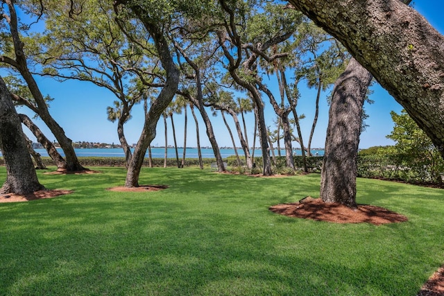 view of yard with a water view