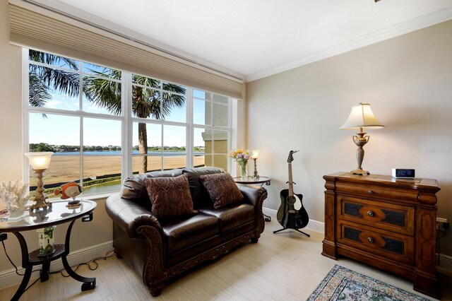 living room featuring a wealth of natural light, crown molding, and light hardwood / wood-style floors