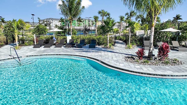 view of pool with a patio area