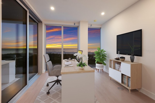 home office featuring light hardwood / wood-style floors