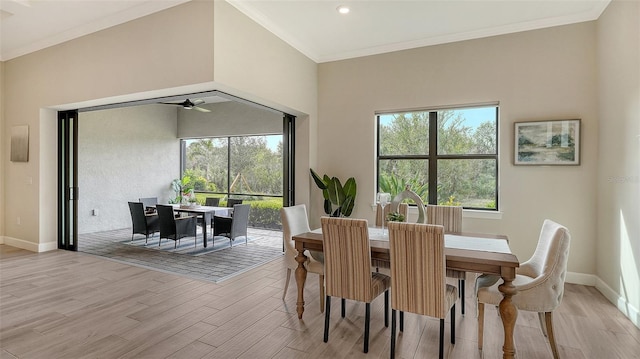 dining space featuring crown molding, light hardwood / wood-style flooring, a wealth of natural light, and ceiling fan