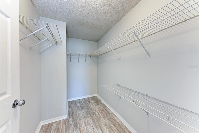 walk in closet with light hardwood / wood-style flooring