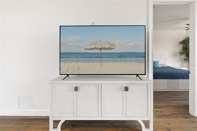 details with wood-type flooring, a water view, ceiling fan, and a view of the beach