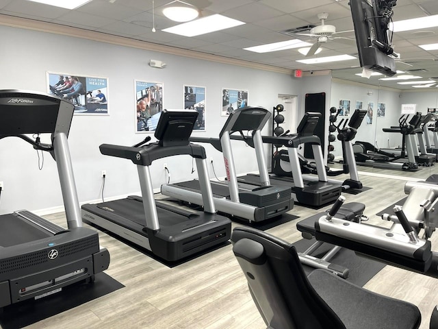 workout area featuring a ceiling fan, light wood-style flooring, ornamental molding, and a drop ceiling