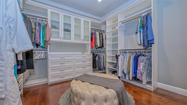 spacious closet featuring dark hardwood / wood-style flooring