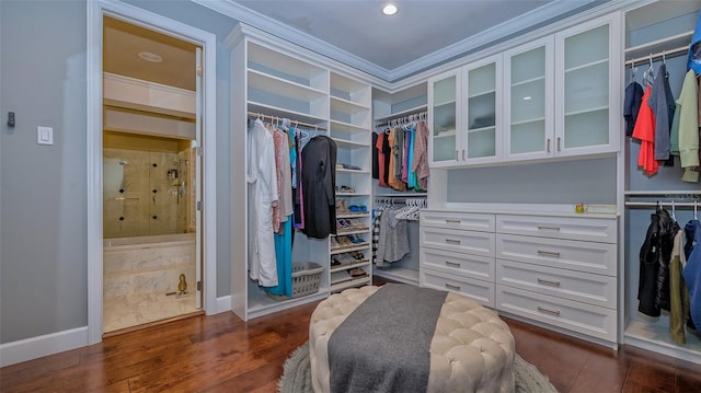 walk in closet with dark wood-type flooring