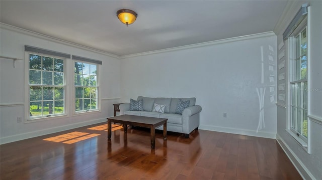 living area featuring ornamental molding and dark hardwood / wood-style flooring