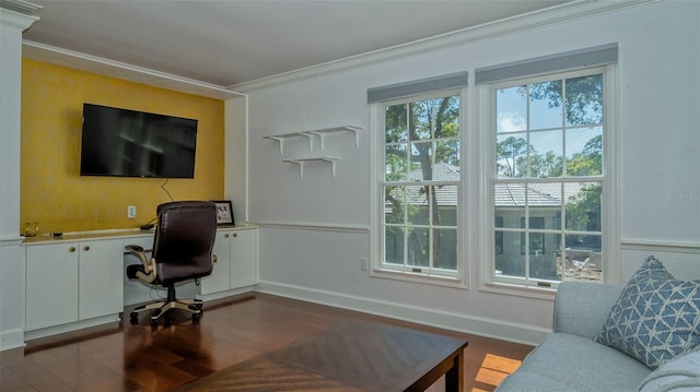 office space featuring ornamental molding and wood-type flooring