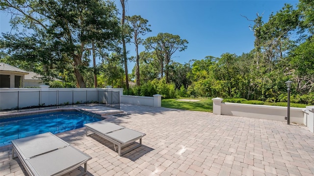 view of pool with a patio area