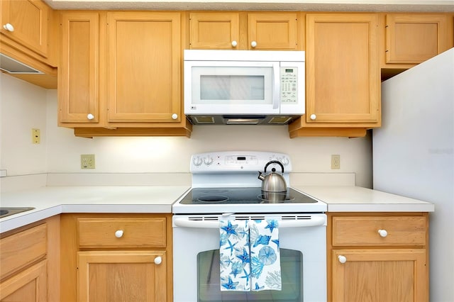 kitchen with white appliances