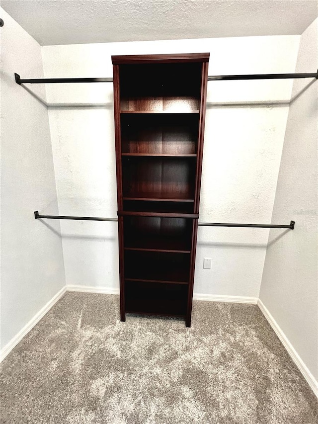 walk in closet with carpet flooring