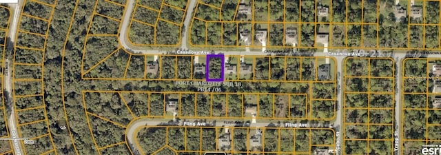 Casanova Ave, North Port FL, 34291 land for sale