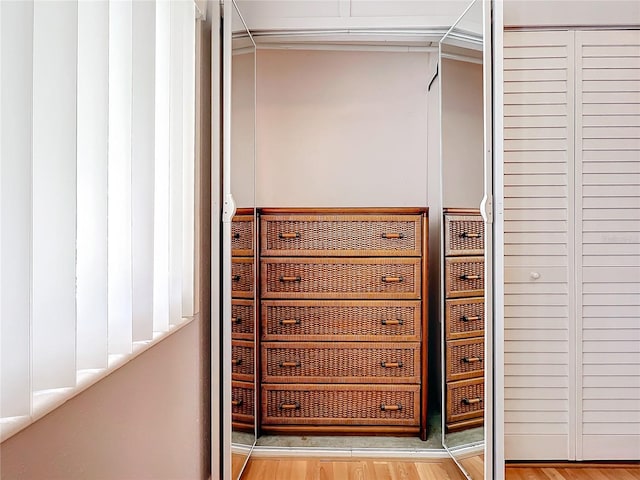 view of closet