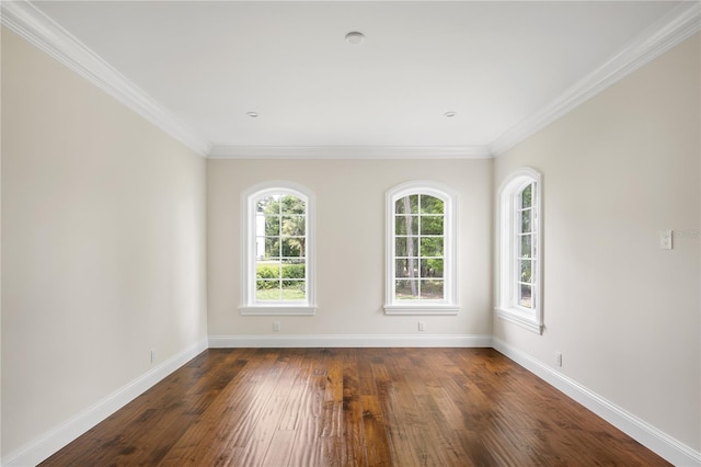 spare room featuring hardwood / wood-style flooring and crown molding