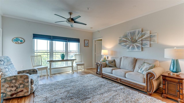 living room with ceiling fan, ornamental molding, and light hardwood / wood-style flooring