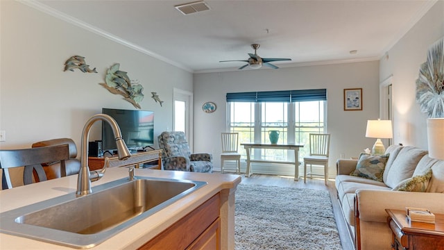 kitchen with ceiling fan, light hardwood / wood-style floors, crown molding, and sink