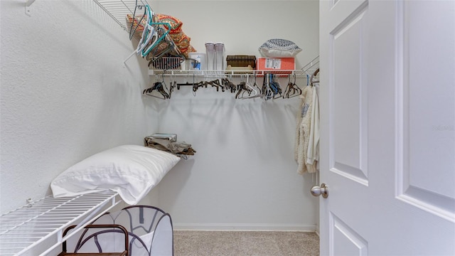 spacious closet featuring carpet