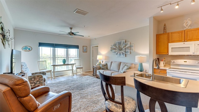 living room featuring ceiling fan, sink, light wood-type flooring, and ornamental molding