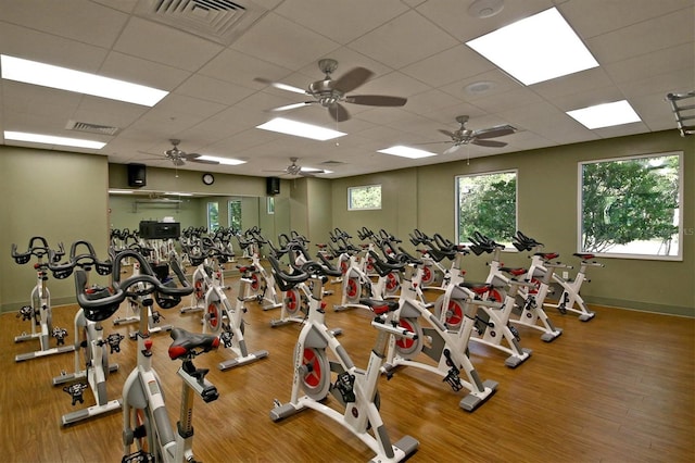 workout area featuring wood-type flooring, ceiling fan, and a paneled ceiling