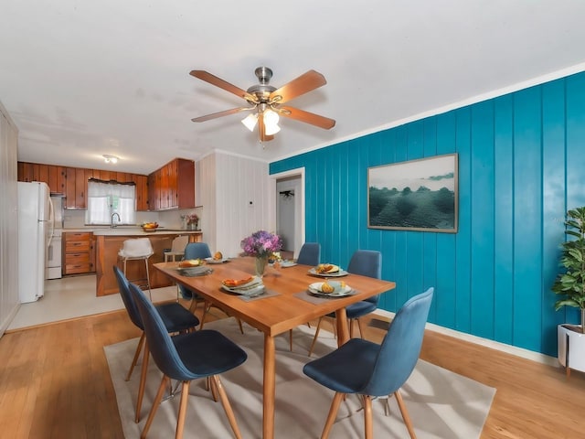 dining area with ceiling fan, sink, and light wood-type flooring