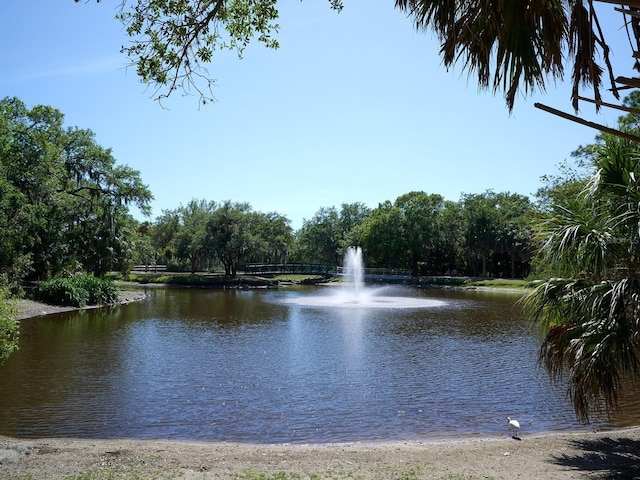 water view