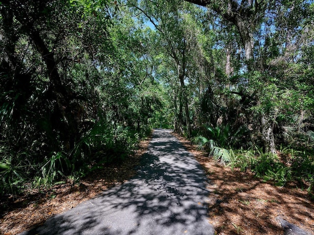 view of road