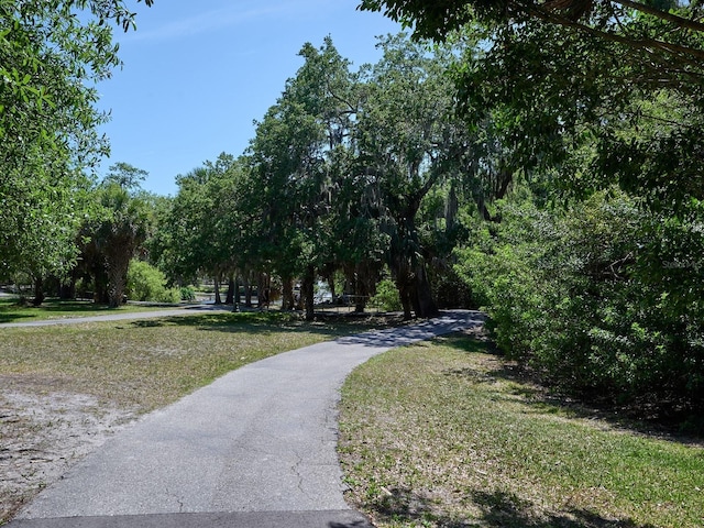 view of home's community featuring a yard