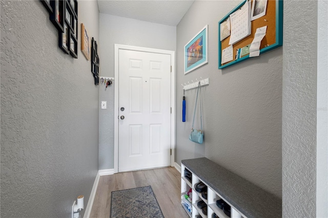 mudroom with hardwood / wood-style floors