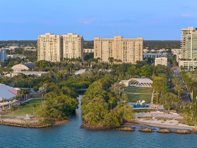 drone / aerial view with a water view