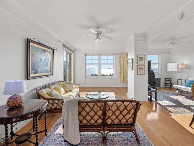 living room with hardwood / wood-style floors, ceiling fan, a healthy amount of sunlight, and ornamental molding