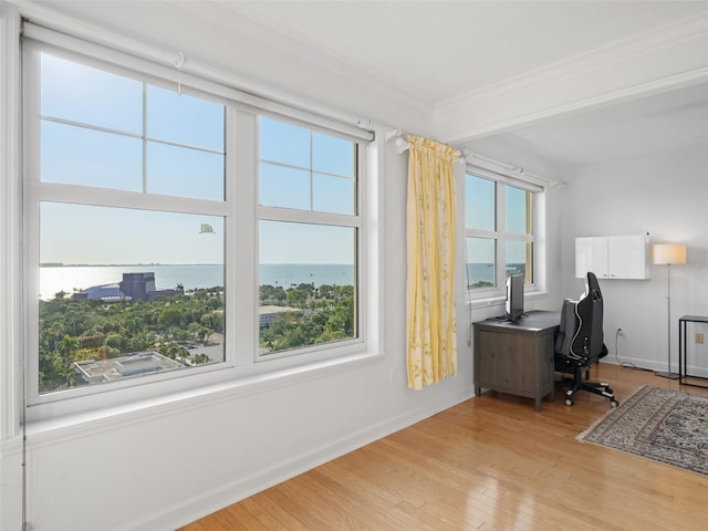 office space with a healthy amount of sunlight, a water view, and light wood-type flooring