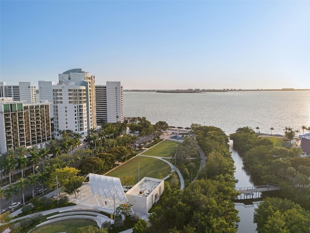 aerial view with a water view