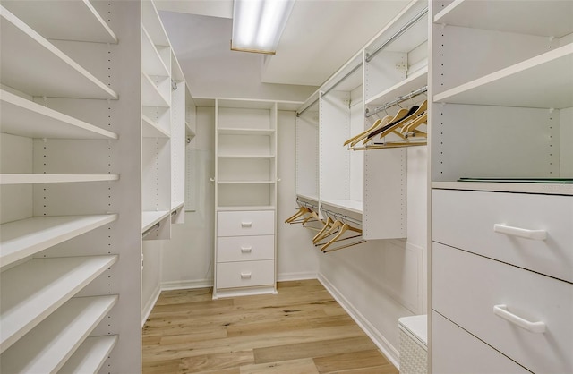 spacious closet featuring light wood-type flooring