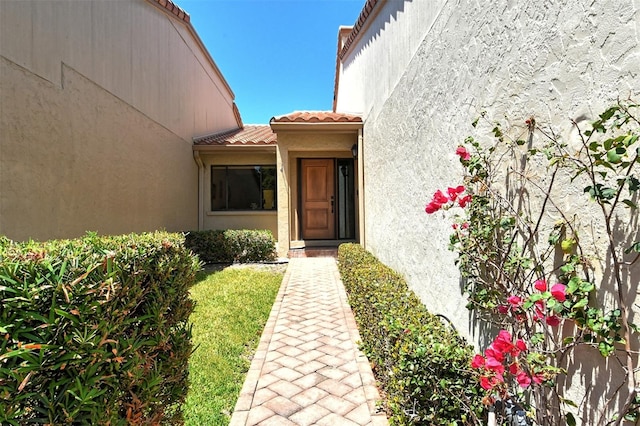 entrance to property featuring a yard