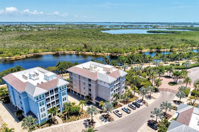 aerial view with a water view