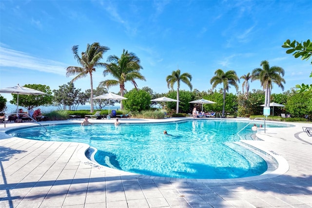 view of swimming pool with a patio