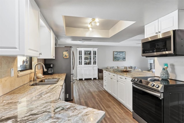 kitchen with white cabinetry, sink, wood-type flooring, a tray ceiling, and appliances with stainless steel finishes