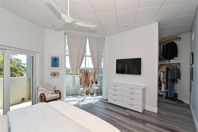 bedroom with a paneled ceiling, ceiling fan, dark hardwood / wood-style flooring, and a closet