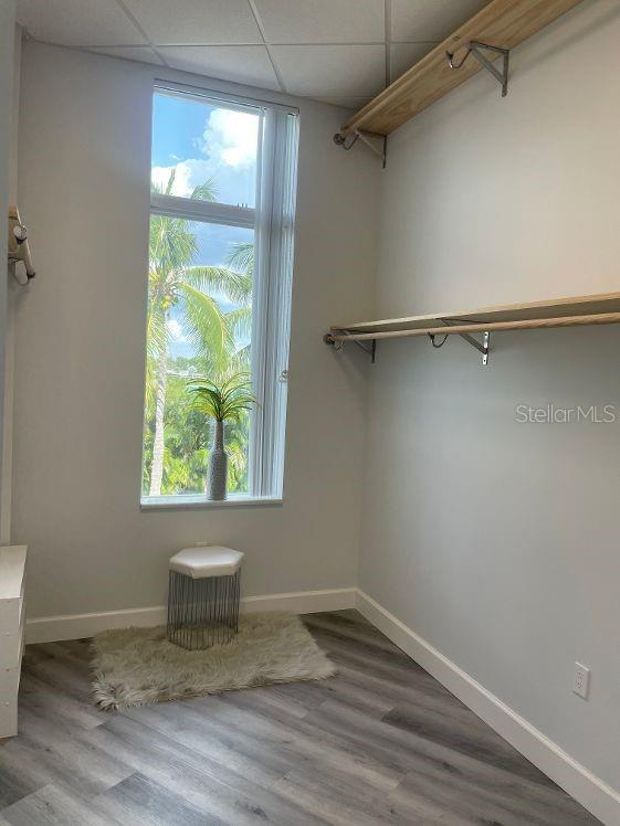 walk in closet featuring a paneled ceiling and wood-type flooring